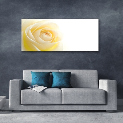 Glasbild aus Plexiglas® Rose Pflanzen