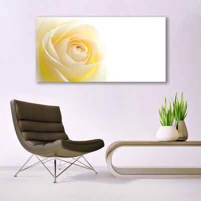 Glasbild aus Plexiglas® Rose Pflanzen