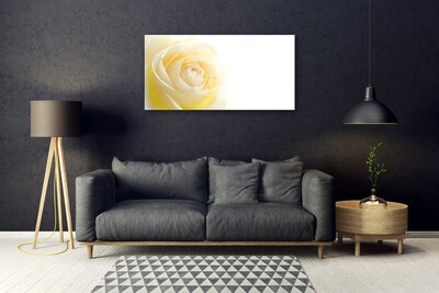 Glasbild aus Plexiglas® Rose Pflanzen