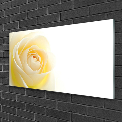 Glasbild aus Plexiglas® Rose Pflanzen