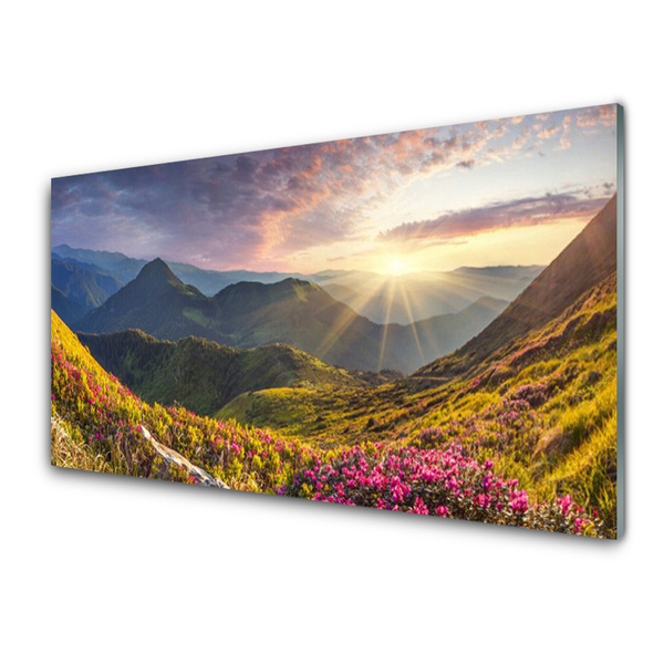 Glasbild aus Plexiglas® Gebirge Wiese Sonne Landschaft