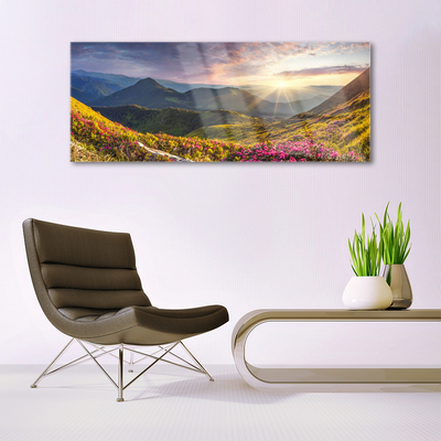 Glasbild aus Plexiglas® Gebirge Wiese Sonne Landschaft