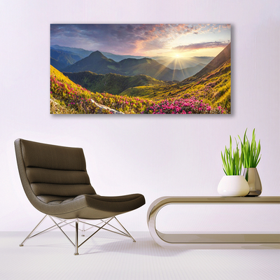 Glasbild aus Plexiglas® Gebirge Wiese Sonne Landschaft