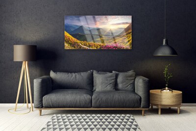 Glasbild aus Plexiglas® Gebirge Wiese Sonne Landschaft