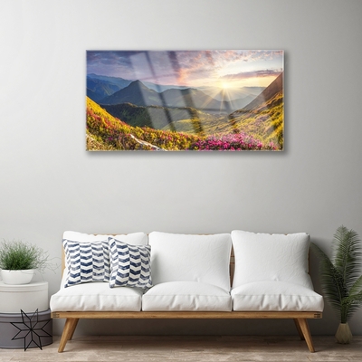 Glasbild aus Plexiglas® Gebirge Wiese Sonne Landschaft