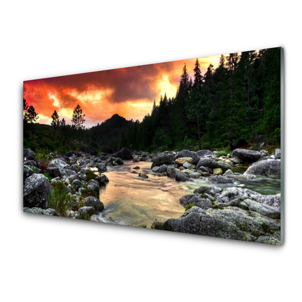 Glasbild aus Plexiglas® See Steine Wald Natur