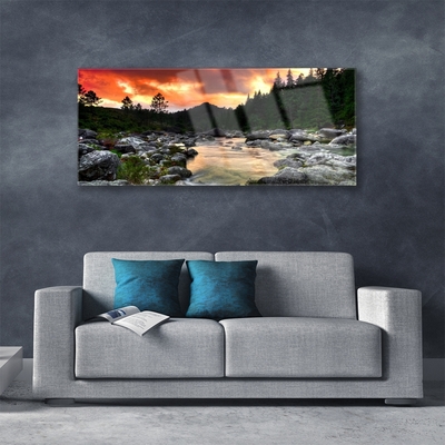 Glasbild aus Plexiglas® See Steine Wald Natur