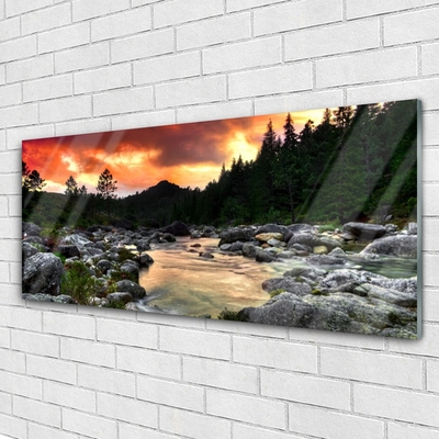 Glasbild aus Plexiglas® See Steine Wald Natur