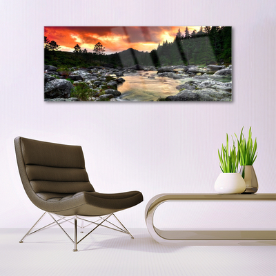 Glasbild aus Plexiglas® See Steine Wald Natur