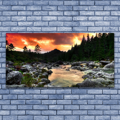 Glasbild aus Plexiglas® See Steine Wald Natur