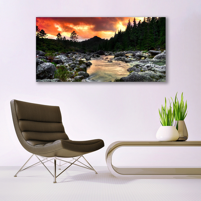 Glasbild aus Plexiglas® See Steine Wald Natur