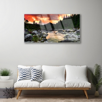 Glasbild aus Plexiglas® See Steine Wald Natur