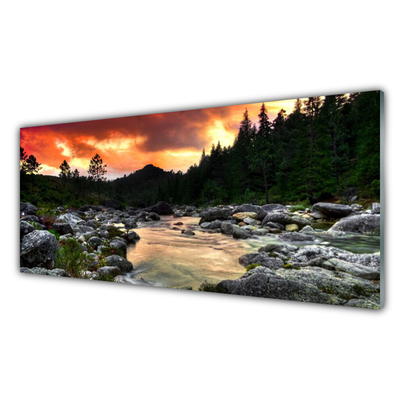 Glasbild aus Plexiglas® See Steine Wald Natur