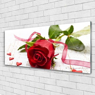 Glasbild aus Plexiglas® Rose Pflanzen