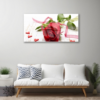 Glasbild aus Plexiglas® Rose Pflanzen
