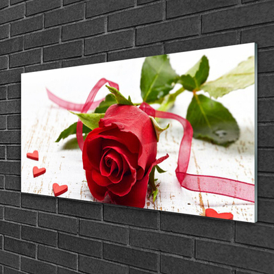Glasbild aus Plexiglas® Rose Pflanzen