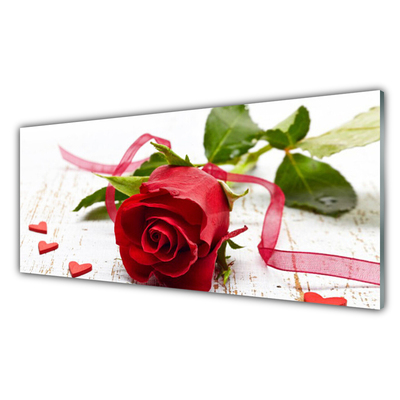 Glasbild aus Plexiglas® Rose Pflanzen