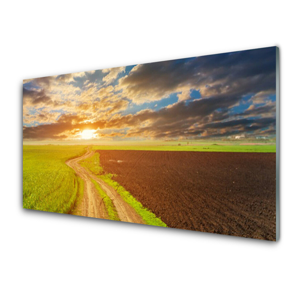 Glasbild aus Plexiglas® Acker Fußpfad Landschaft