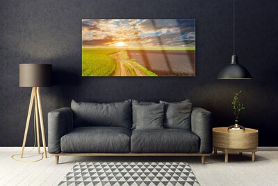 Glasbild aus Plexiglas® Acker Fußpfad Landschaft