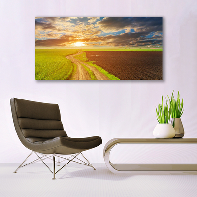 Glasbild aus Plexiglas® Acker Fußpfad Landschaft