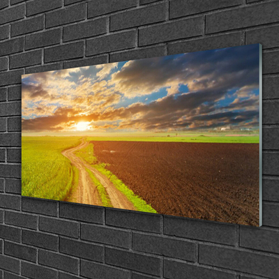 Glasbild aus Plexiglas® Acker Fußpfad Landschaft