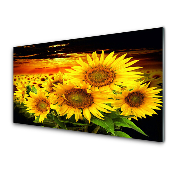 Glasbild aus Plexiglas® Sonnenblumen Pflanzen