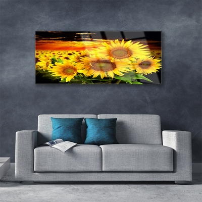 Glasbild aus Plexiglas® Sonnenblumen Pflanzen