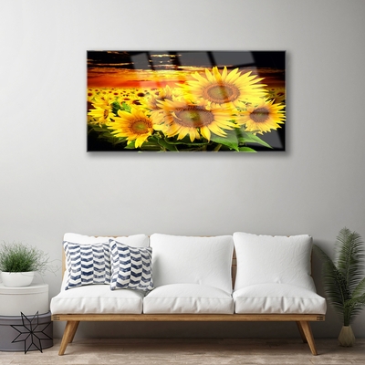 Glasbild aus Plexiglas® Sonnenblumen Pflanzen