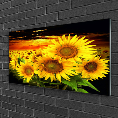 Glasbild aus Plexiglas® Sonnenblumen Pflanzen