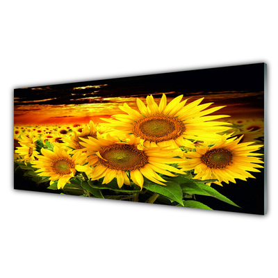 Glasbild aus Plexiglas® Sonnenblumen Pflanzen