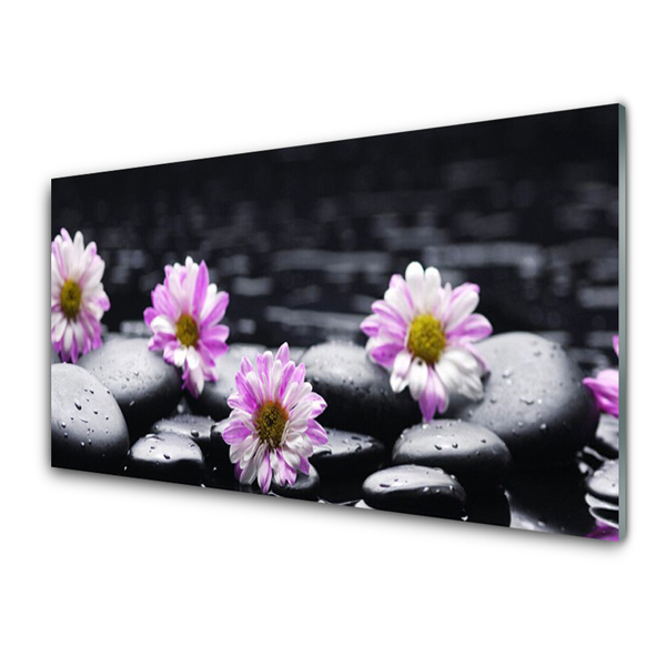 Glasbild aus Plexiglas® Blumen Steine Pflanzen
