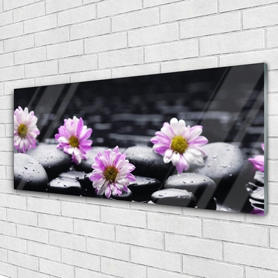 Glasbild aus Plexiglas® Blumen Steine Pflanzen