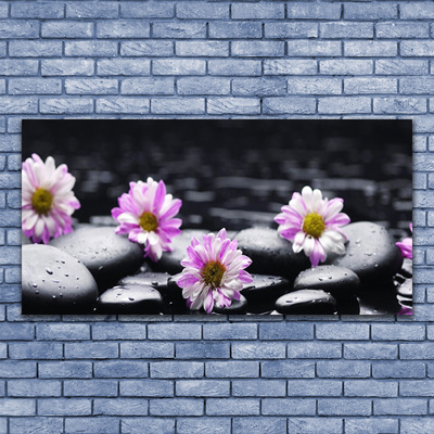 Glasbild aus Plexiglas® Blumen Steine Pflanzen