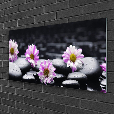 Glasbild aus Plexiglas® Blumen Steine Pflanzen