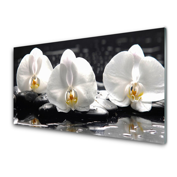 Glasbild aus Plexiglas® Blumen Steine Pflanzen