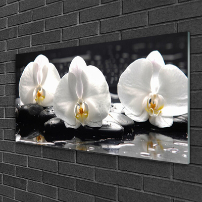 Glasbild aus Plexiglas® Blumen Steine Pflanzen