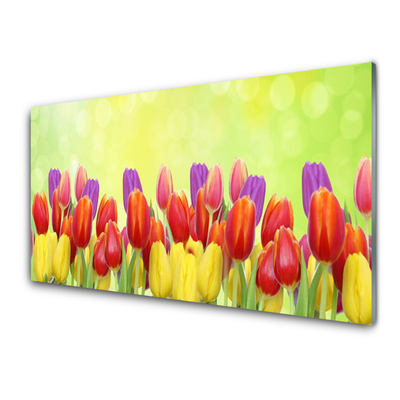 Glasbild aus Plexiglas® Tulpen Pflanzen