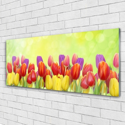 Glasbild aus Plexiglas® Tulpen Pflanzen