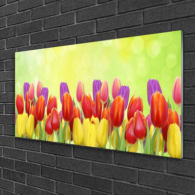 Glasbild aus Plexiglas® Tulpen Pflanzen