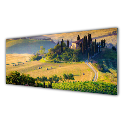 Glasbild aus Plexiglas® Acker Bäume Landschaft