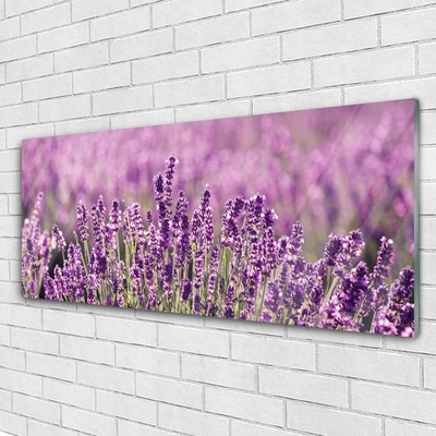 Glasbild aus Plexiglas® Blumen Pflanzen