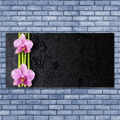 Glasbild aus Plexiglas® Bambusrohre Blumen Pflanzen