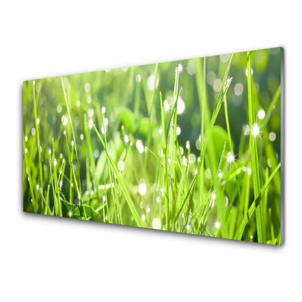 Glasbild aus Plexiglas® Gras Natur