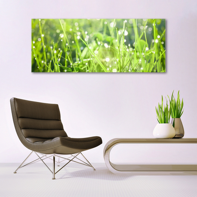 Glasbild aus Plexiglas® Gras Natur