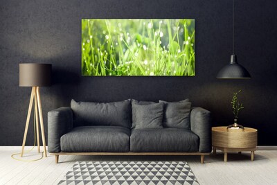 Glasbild aus Plexiglas® Gras Natur