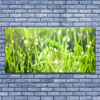 Glasbild aus Plexiglas® Gras Natur