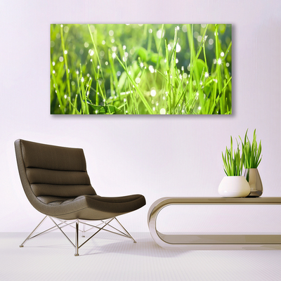 Glasbild aus Plexiglas® Gras Natur