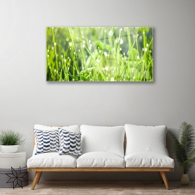 Glasbild aus Plexiglas® Gras Natur