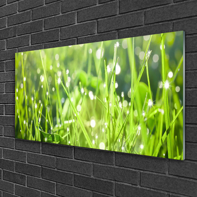 Glasbild aus Plexiglas® Gras Natur