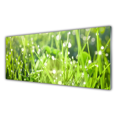 Glasbild aus Plexiglas® Gras Natur